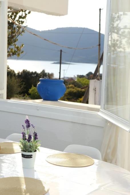 White Villa In Olive Trees And Seaview To Panagia Almiropótamos Zewnętrze zdjęcie