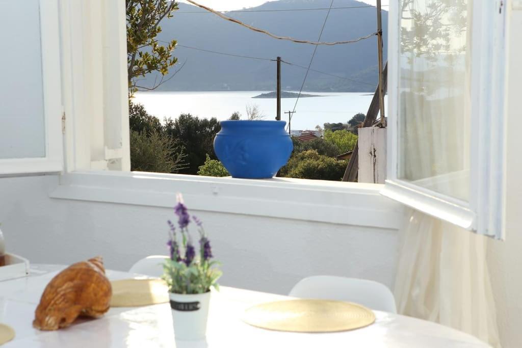 White Villa In Olive Trees And Seaview To Panagia Almiropótamos Zewnętrze zdjęcie