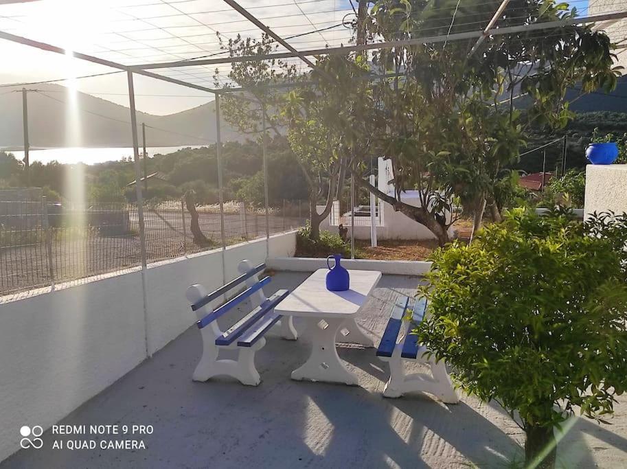 White Villa In Olive Trees And Seaview To Panagia Almiropótamos Zewnętrze zdjęcie