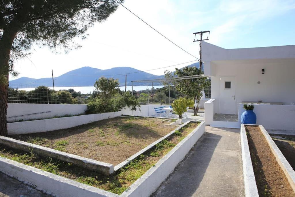 White Villa In Olive Trees And Seaview To Panagia Almiropótamos Zewnętrze zdjęcie