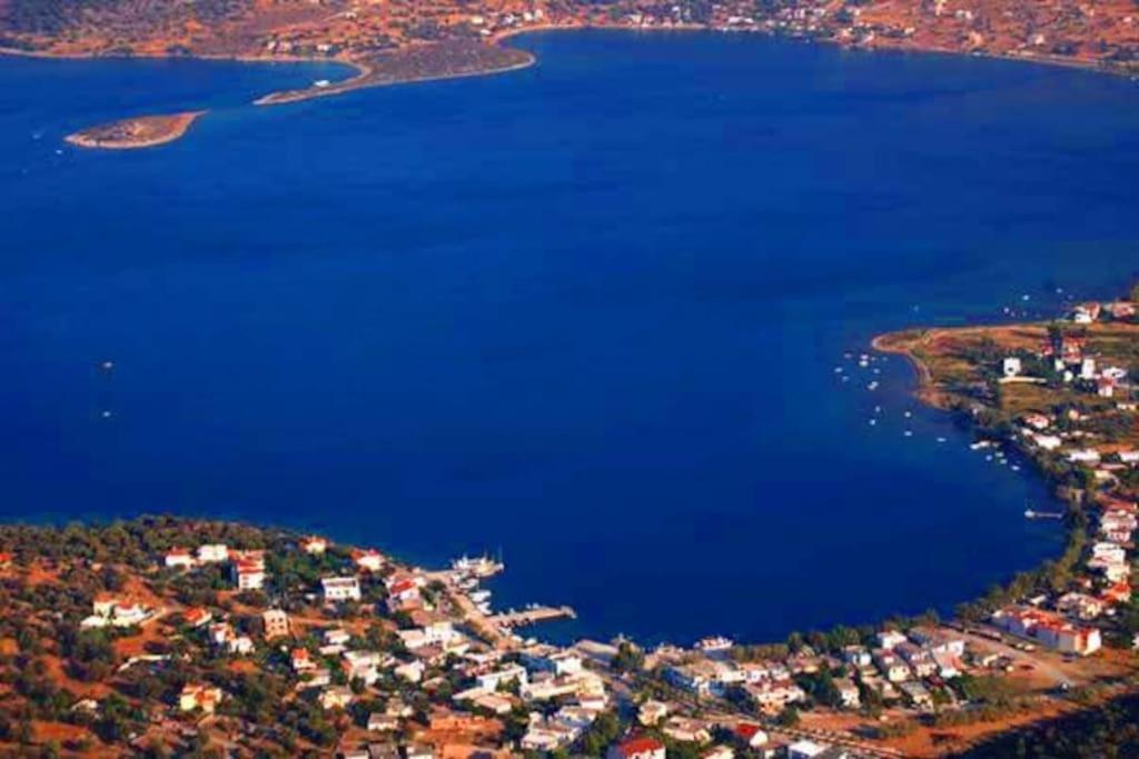 White Villa In Olive Trees And Seaview To Panagia Almiropótamos Zewnętrze zdjęcie