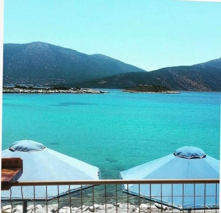 White Villa In Olive Trees And Seaview To Panagia Almiropótamos Zewnętrze zdjęcie