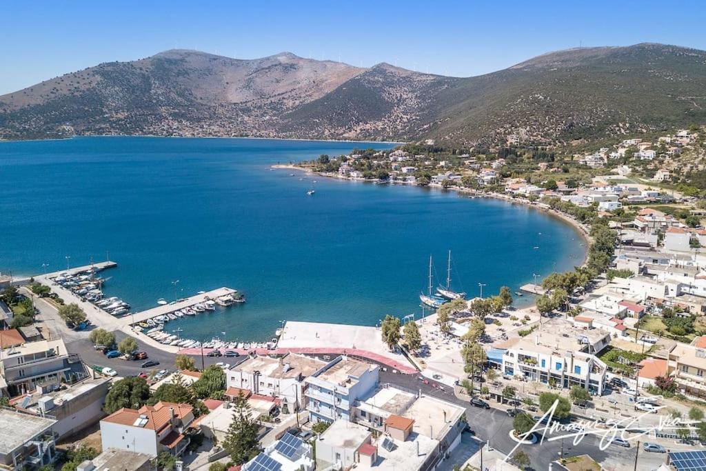 White Villa In Olive Trees And Seaview To Panagia Almiropótamos Zewnętrze zdjęcie